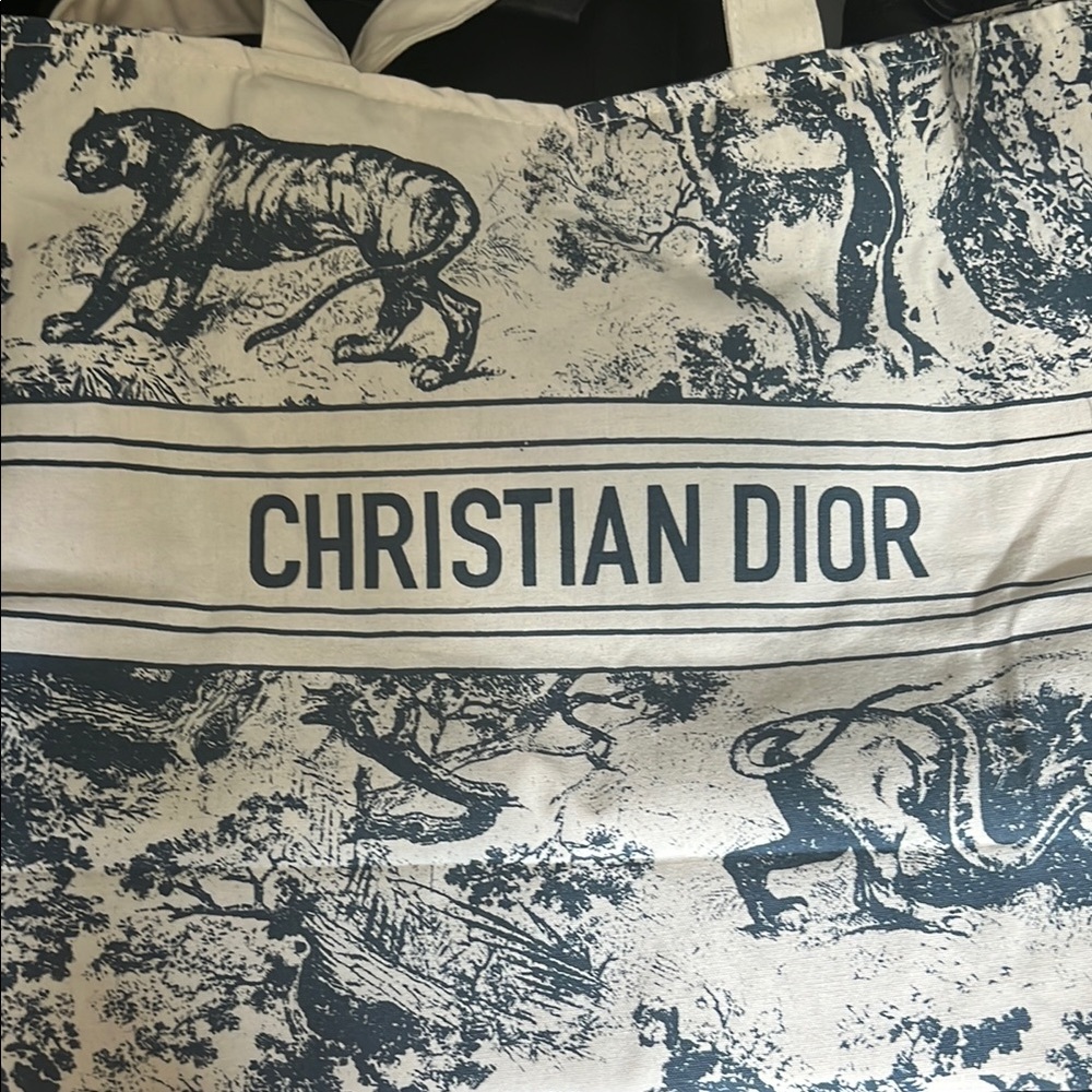 Dior Blue and White Toile de Jouy Bag